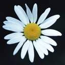 0025