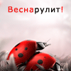 Savt4b654c121a1cc